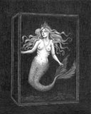 Caitlin McCarthy The Siren Fine Art Print - Mermaid: 8x10
