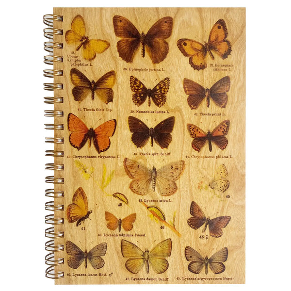 Butterfly Specimen Wooden Notebook
