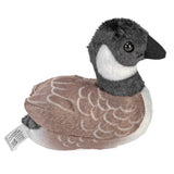 Canada Goose Stuffie