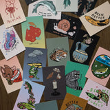 Assorted Stay at Home Club Postcards