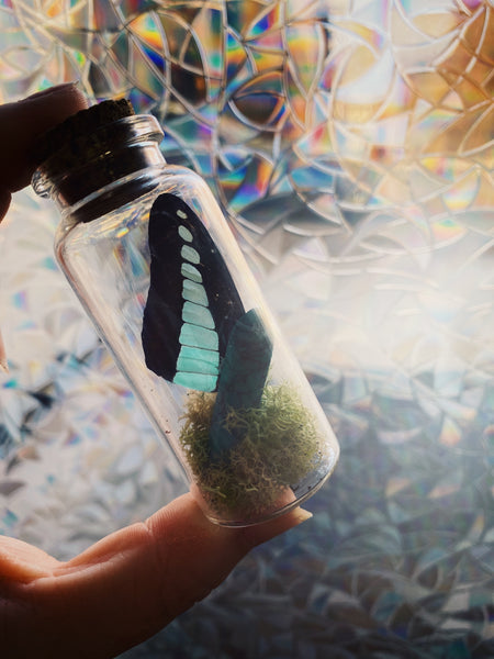 Butterfly Wing & Moss Taxidermy Jars