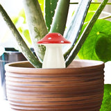 Self Watering Plant Mushroom