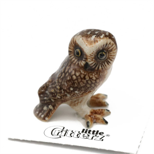 Sawyer "Saw-whet" Owl little critterz figurine