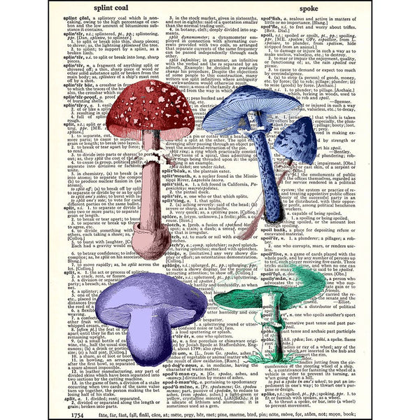 Colourful Mushroom Dictionary Print