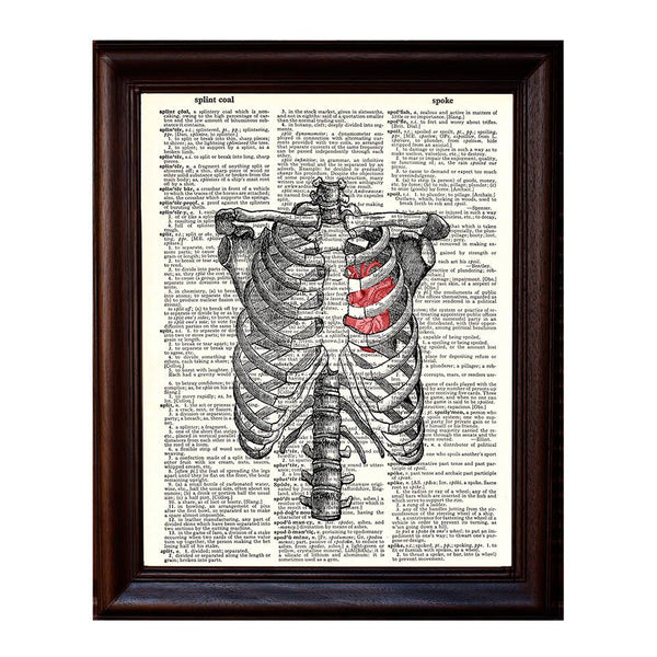 Ribs and Heart Dictionary Print