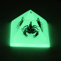 Glow in the Dark Scorpion Pyramid