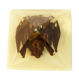 Real Glow in the Dark Bat Paperweight