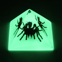 Real Glow in the Dark Tarantula Pyramid Paperweight