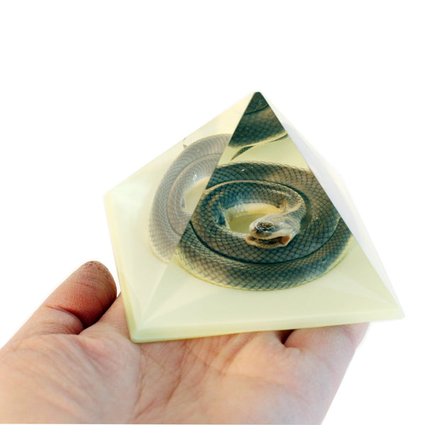 Real Glow in the Dark Snake Pyramid Paperweight