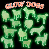 Glow Dogs