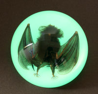 Domed Glow In the Dark Bat  Paperweight