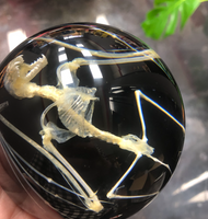 Real Skeleton Bat Domed Paperweight