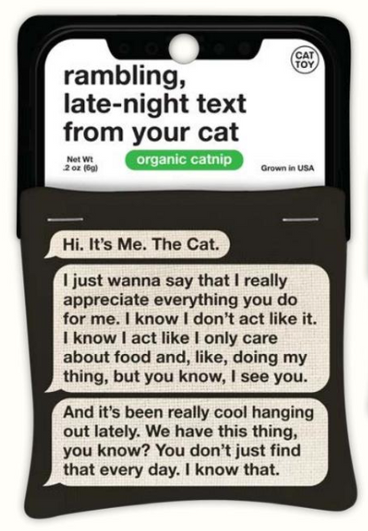 Rambling Text Cat Nip Toy