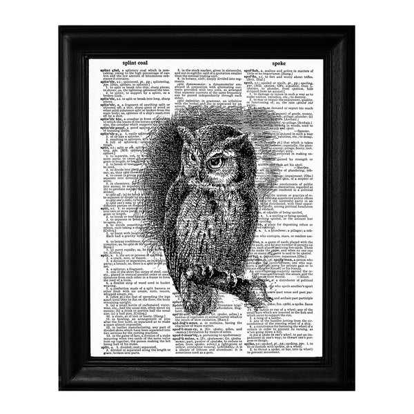 Framed Owl Dictionary Print