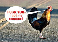 I've Got My Reasons Magnet