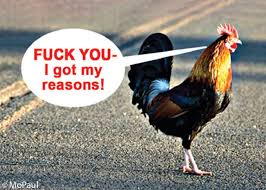I've Got My Reasons Magnet