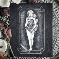 Caitlin McCarthy Anatomical Venus Art Print 8x10
