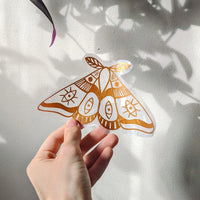 Moth Sun Catcher Window Cling