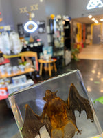 Real Bat