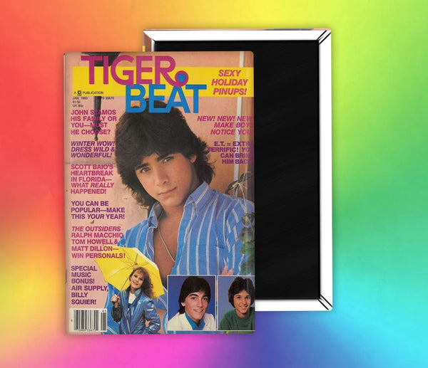 Tiger Beat Teen Magazine Magnet